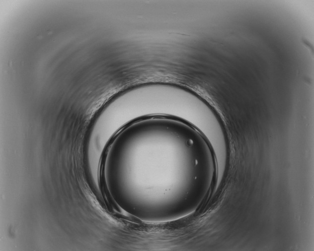 X0000103250581200809041111