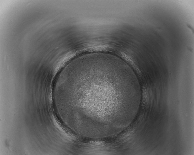 X0000103250582200809041111