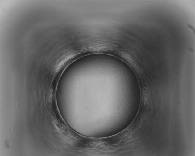 X0000103250583200809041111