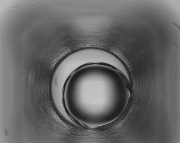 X0000103250585200809041111