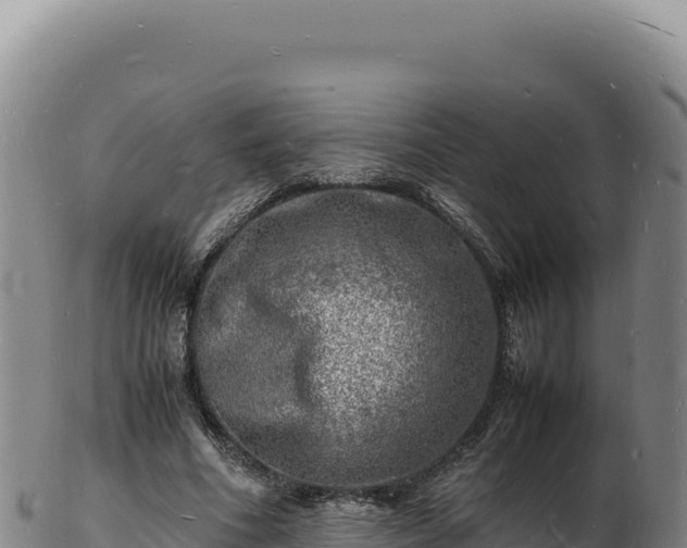 X0000103250586200809041111