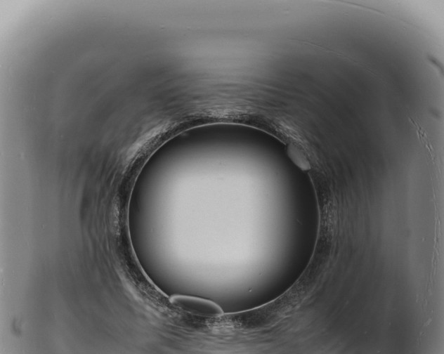 X0000103250587200809041111