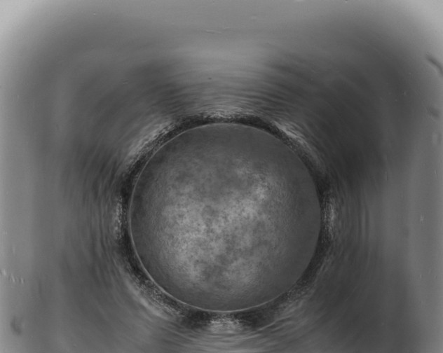 X0000103250591200809041111