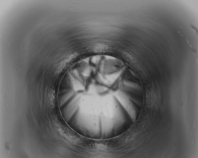 X0000103250592200809041111