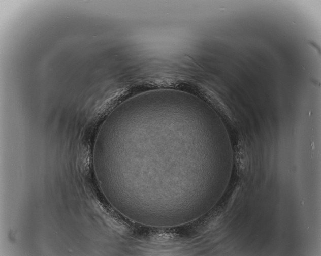 X0000103250593200809041111