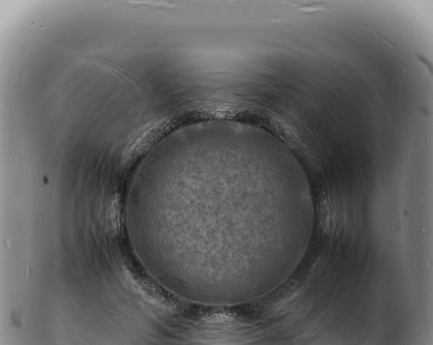 X0000103250594200809041110