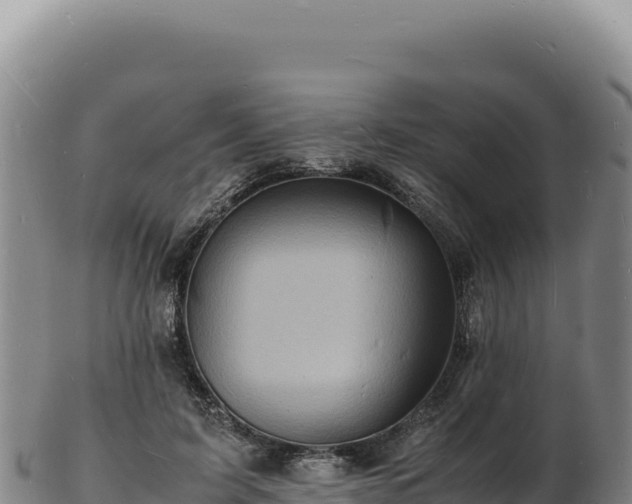 X0000103250595200809041110