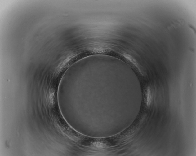 X0000103250596200809041110