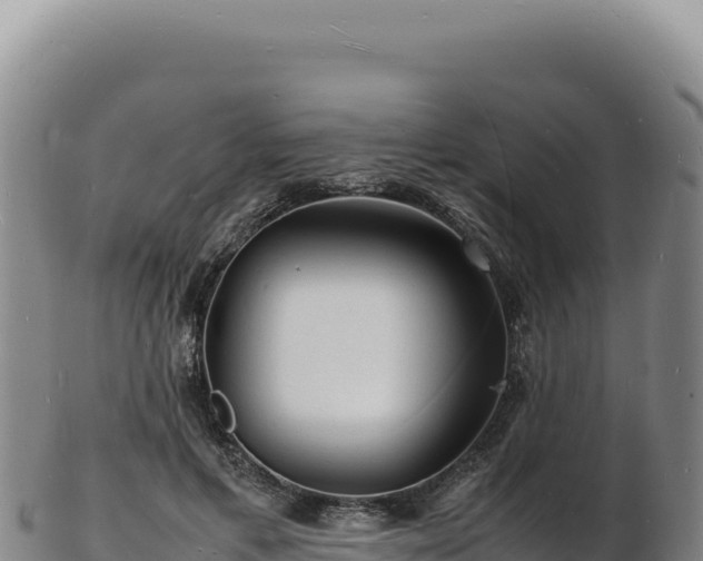 X0000103250597200809041110