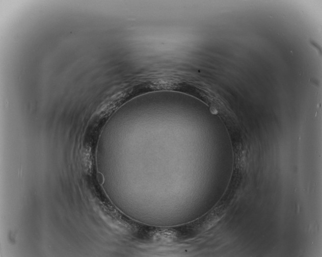 X0000103250599200809041110
