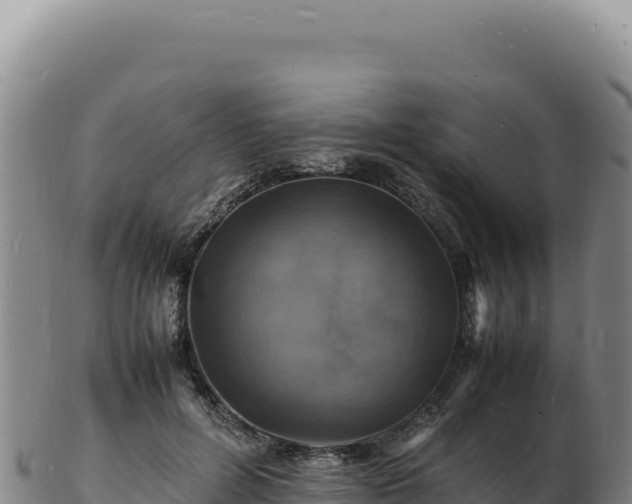 X0000103250600200809041110
