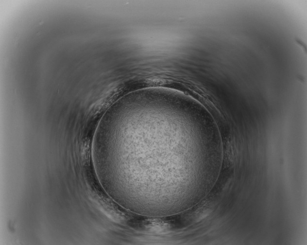 X0000103250601200809041110