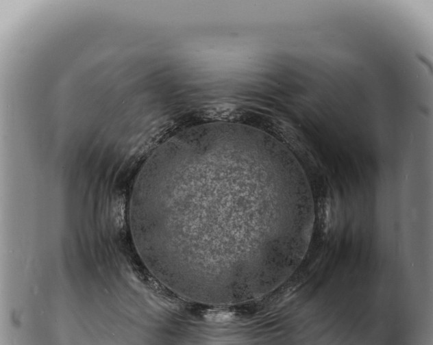 X0000103250602200809041110