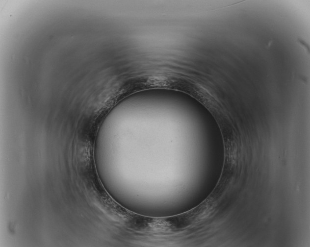 X0000103250603200809041110