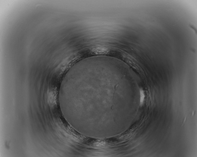 X0000103250604200809041110