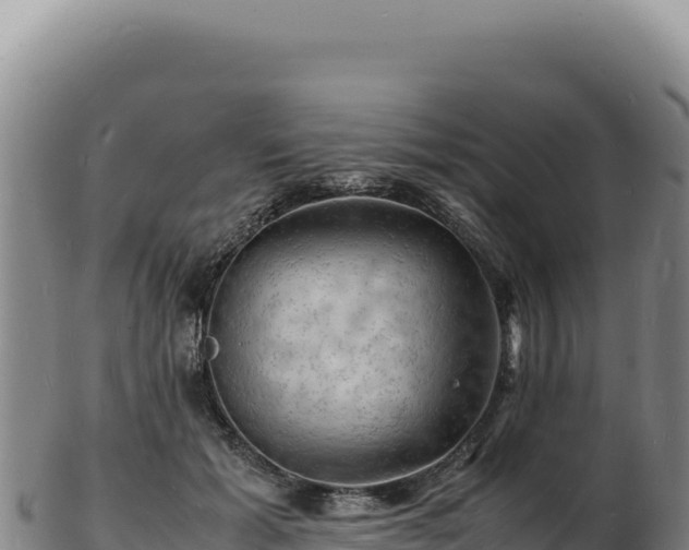 X0000103250605200809041110