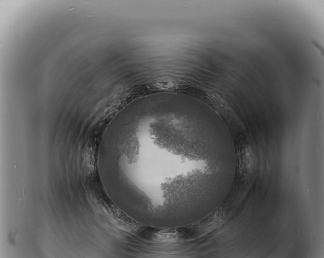 X0000103250606200809041110