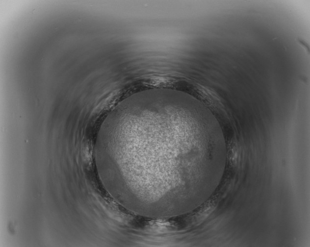 X0000103250607200809041110