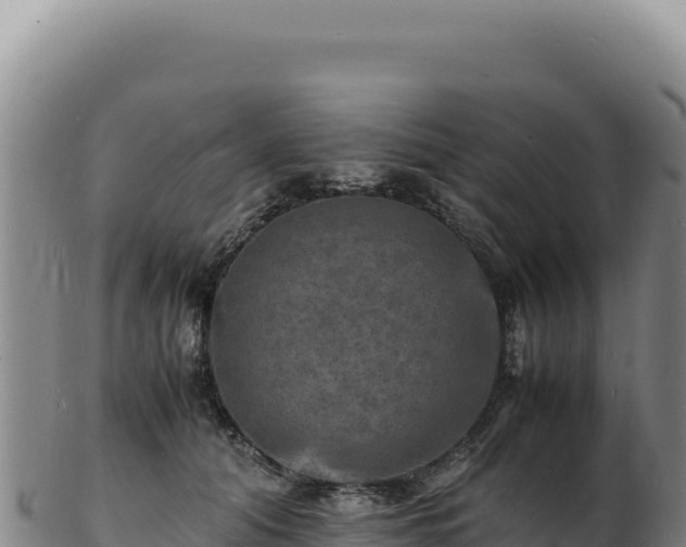 X0000103250608200809041110