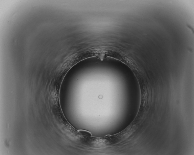 X0000103250609200809041110