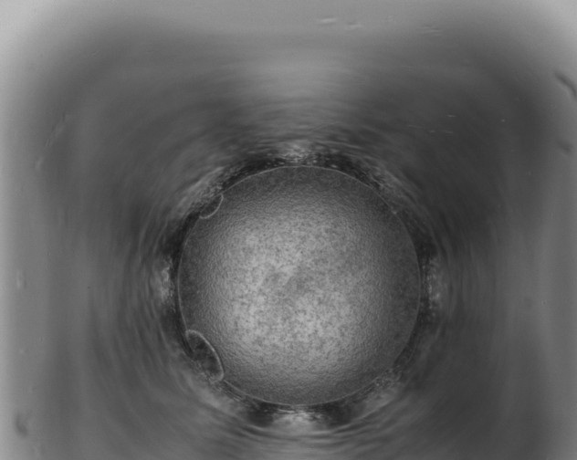 X0000103250611200809041110