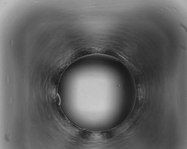 X0000103250613200809041110