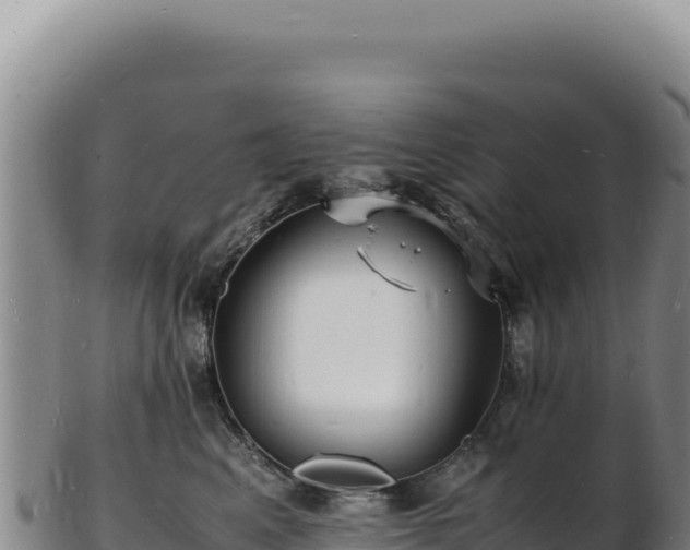 X0000103250617200809041110