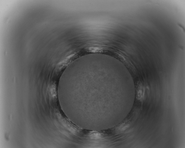 X0000103250620200809041110