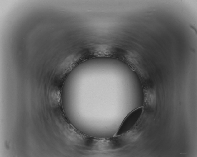 X0000103250621200809041110