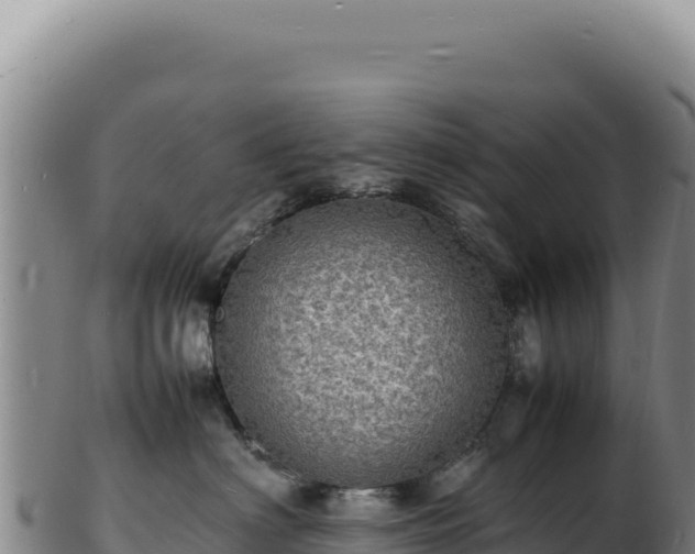 X0000103250622200809041110