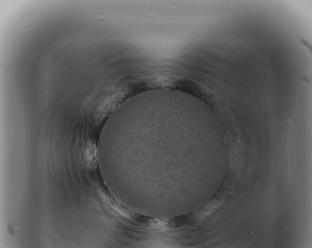 X0000103250624200809041110