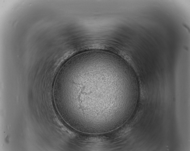 X0000103250625200809041109