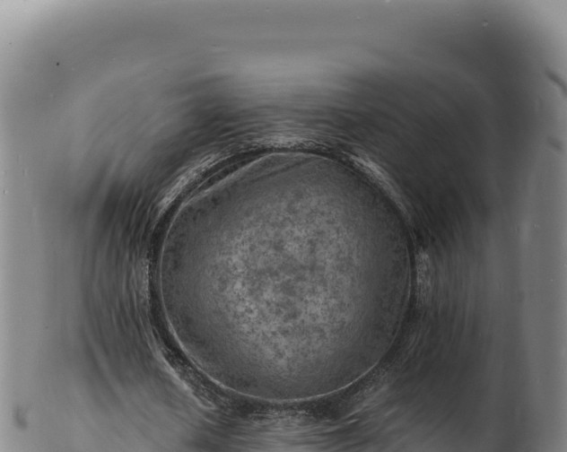X0000103250626200809041109