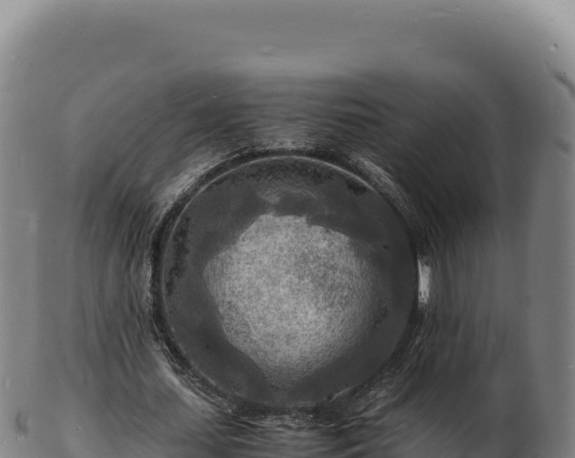 X0000103250627200809041109