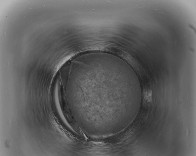 X0000103250628200809041109