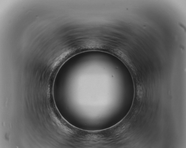 X0000103250629200809041109