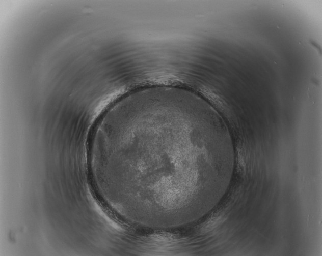 X0000103250630200809041109