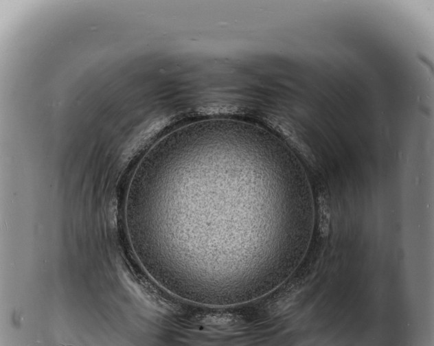 X0000103250631200809041109