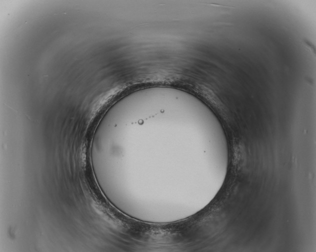 X0000103250632200809041109