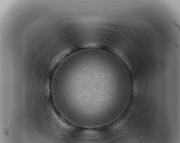 X0000103250633200809041109