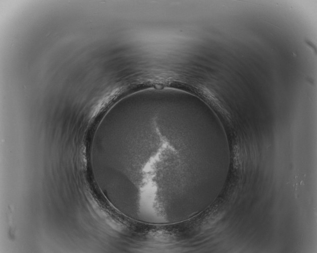 X0000103250634200809041109
