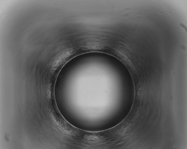 X0000103250635200809041109