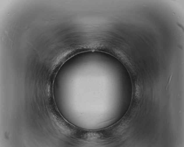 X0000103250636200809041109