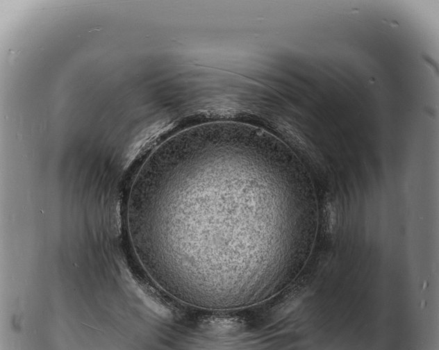 X0000103250638200809041109