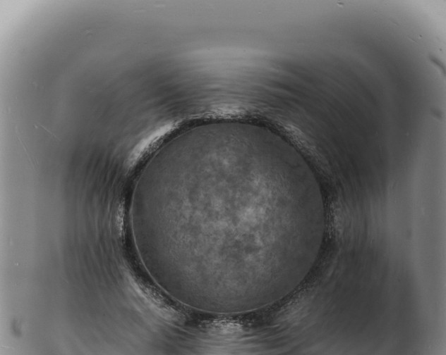 X0000103250640200809041109