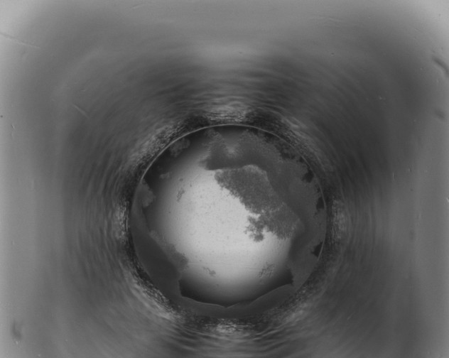 X0000103250641200809041110