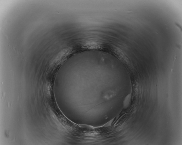 X0000103250643200809041110