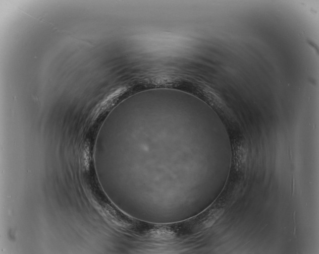 X0000103250644200809041110