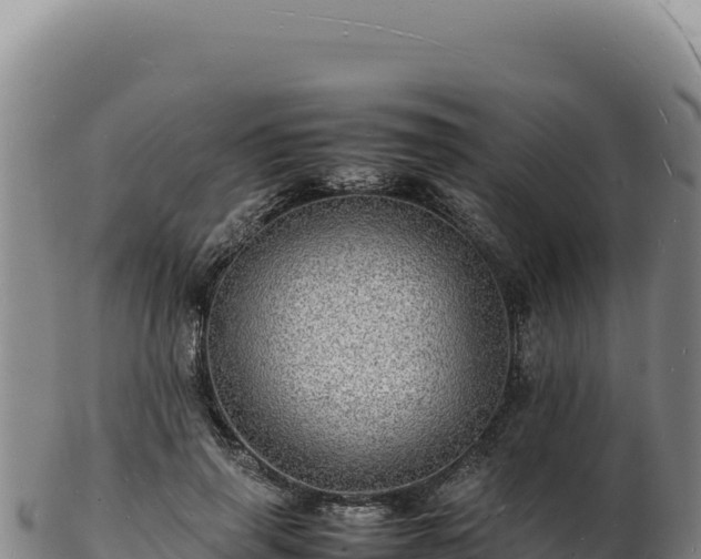 X0000103250645200809041110