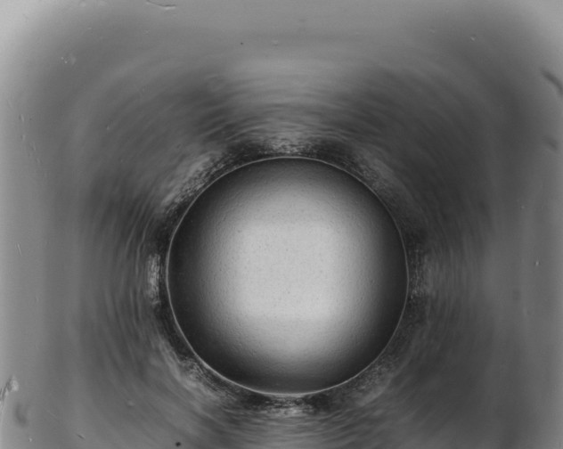 X0000103250646200809041110